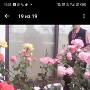  ,  , 44