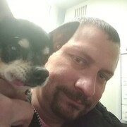 ���������� �����������, ���� ������� �������, 49 ���, ������������ ��� ������, ����� � ���������, c�������� ���������, ���������