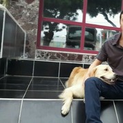  Mimarsinan,  erkan, 53