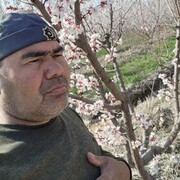 ���������� �������, ���� ������� ���������, 50 ���, ������������ ��� ������, ����� � ���������, c�������� ���������, ���������