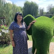 ���������� �������, ���� ������� �������, 53 ����, ������������ 