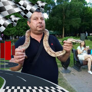 ���������� �����, ���� ������� �������, 44 ����, ������������ ��� ������, ����� � ���������