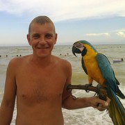  ,   , 44 ,   