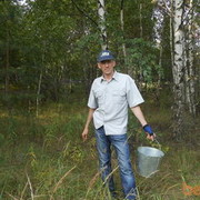 ���������� Rheine, ���� ������� ����, 53 ����, ������������ ��� ������, ����� � ���������, c�������� ���������