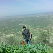 ���������� ������, ���� ������� ����, 40 ���, ������������ ��� ������