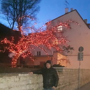  ,  lasha, 42