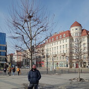  Jelcz,  , 44