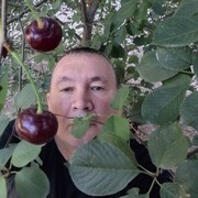 ���������� ������ ��������, ���� ������� �������, 47 ���, ������������ ��� c�������� ���������, ���������