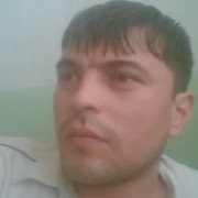 ���������� ������, ���� ������� Shoxa, 42 ����, ������������ ��� ������