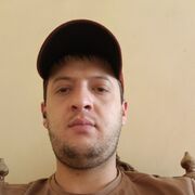  ,  Doberrman, 31