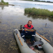 ���������� ������������, ���� ������� ��������, 38 ���, ������������ ��� ������, ����� � ���������, c�������� ���������