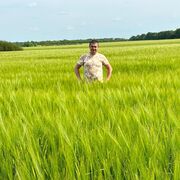 ���������� ������, ���� ������� �������, 38 ���, ������������ ��� ����� � ���������, c�������� ���������