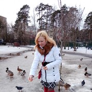  -,   , 37 ,   ,   , c 
