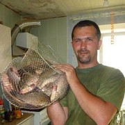  --,   , 47 ,   