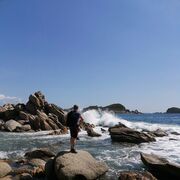 ���������� �����������, ���� ������� �����, 42 ����, ������������ ��� ����� � ���������, c�������� ���������, ���������