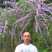  ,   , 61 ,   