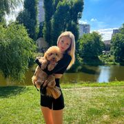 ���������� �����-���������, ���� ������� �����, 24 ����, ������������ ��� ������, ����� � ���������