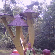  ,   , 53 ,     , c 