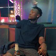 ���������� ������, ���� ������� Alpaccino, 36 ���, ������������ ��� ������, ����� � ���������