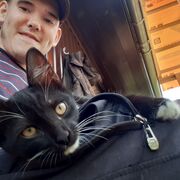 ���������� ���, ���� ������� ������, 30 ���, ������������ ��� ����� � ���������, c�������� ���������, ���������