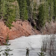 ���������� �������, ���� ������� �������, 49 ���, ������������ ��� ������, ����� � ���������, c�������� ���������