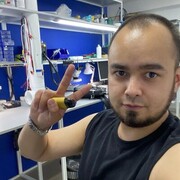  ,   Zakir, 31 ,   ,   , c , 