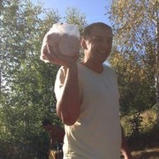  ,   Jorjinyo, 42 ,   