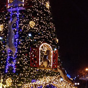 ���������� ������, ���� ������� ������, 30 ���, ������������ ��� ������, ����� � ���������, c�������� ���������