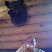 ���������� ������, ���� ������� �������, 46 ���, ������������ ��� ������