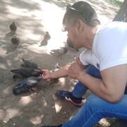  ,   , 44 ,   ,   , c , 