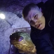 ���������� ��������, ���� ������� �����, 28 ���, ������������ ��� ������, ����� � ���������, c�������� ���������