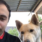 ���������� ������, ���� ������� ��������, 29 ���, ������������ ��� ������, ����� � ���������, c�������� ���������, ���������