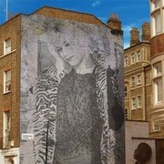 ���������� �����������, ���� ������� �������, 34 ����, ������������ 