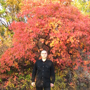 ���������� ������, ���� ������� ��������, 45 ���, ������������ 