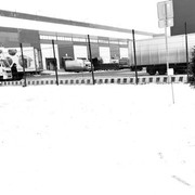 ���������� ������, ���� ������� Zuba, 30 ���, ������������ ��� ������, ����� � ���������, c�������� ���������