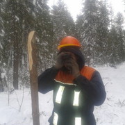  ,   , 37 ,   