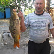  ,   , 49 ,   