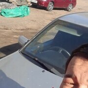 ���������� ������, ���� ������� Gayratjon, 32 ����, ������������ ��� ������, ����� � ���������, c�������� ���������