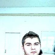  ,   Reshadet, 31 ,   