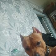 ���������� ���������� �����, ���� ������� Alex, 27 ���, ������������ ��� ������, ����� � ���������, c�������� ���������, ���������