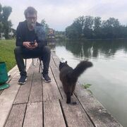 ���������� ����, ���� ������� ��������, 40 ���, ������������ ��� ������, ����� � ���������