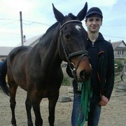 ���������� �������, ���� ������� ��������, 36 ���, ������������ ��� ����� � ���������, c�������� ���������