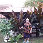  ,   Ilona, 64 ,   ,   , c 