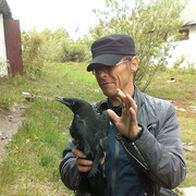  ,   , 51 ,   ,   , c 