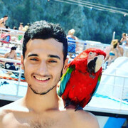  ,   Atakan, 33 ,   ,   