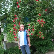 ���������� ��������������, ���� ������� ��������, 72 ����, ������������ ��� ������, ����� � ���������, c�������� ���������