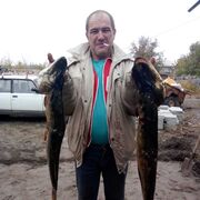 ���������� ����� �������, ���� ������� ������, 50 ���, ������������ ��� c�������� ���������, ���������