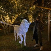  ,   , 33 ,  