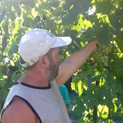 ���������� ������������, ���� ������� ����, 54 ����, ������������ ��� ������, ���������