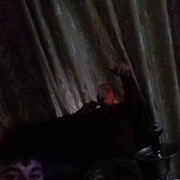 ���������� �������������, ���� ������� Alisher, 34 ����, ������������ ��� ������, ����� � ���������, c�������� ���������